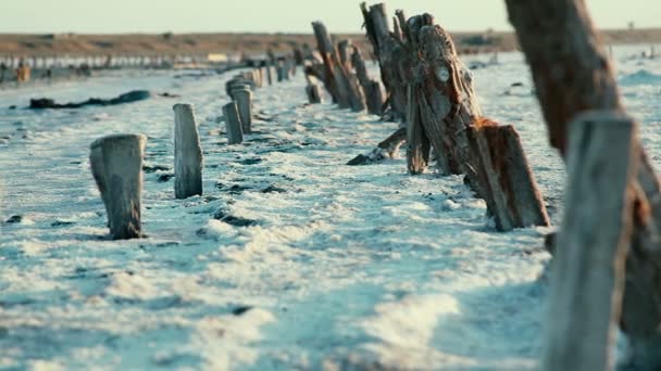 Pink lakes, sunset, old wooden poles. Unusual natural place. — Stock Video