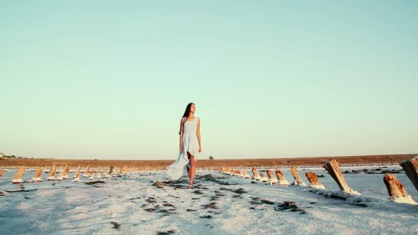 Young, beautiful girl in a blue dress in an unusual place. White and pink salt on the road, around the model. Pink lakes in the Kherson region, Ukraine. — Stock Video