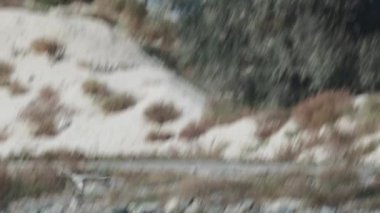 Martı denizde balık avlamak için avlanır. Saldırının yavaş hareketi..