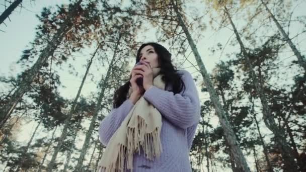 Bella dama en suéter sostiene taza de bebida en el bosque de invierno — Vídeo de stock