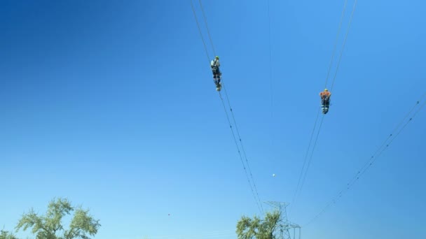 Eletricistas instalam desviadores de voo de aves em linhas elétricas — Vídeo de Stock