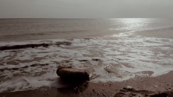 Studené zimní moře, vlny narážející na břeh. — Stock video
