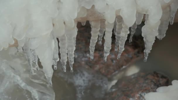 Large icicles hang on stone over water stream on winter day — Stock Video