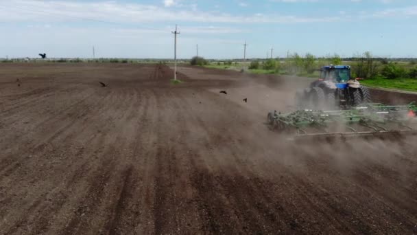 Ptáci přeletějí nad traktorem a obdělávají půdu na farmářském poli — Stock video