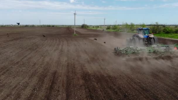 Vogels vliegen over trekker grasland op boerenveld — Stockvideo