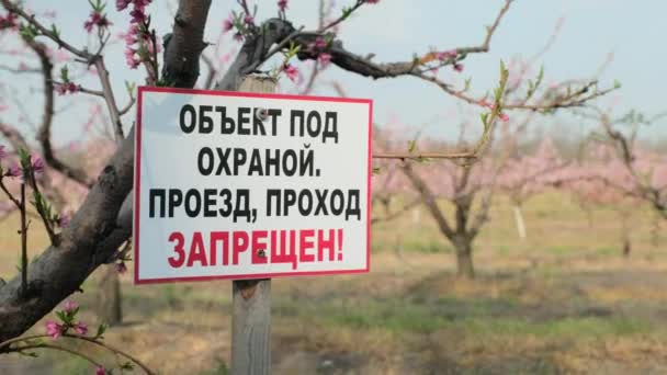 Waarschuwingsbord bij een bloeiende abrikoos in een privé tuin in het Russisch — Stockvideo