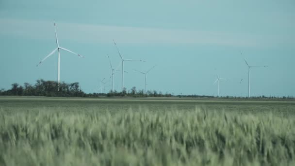 Větrné mlýny se otáčejí a vyrábějí elektřinu na poli — Stock video