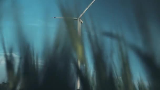 Motion through green wheat to wind turbine against blue sky — Stock video
