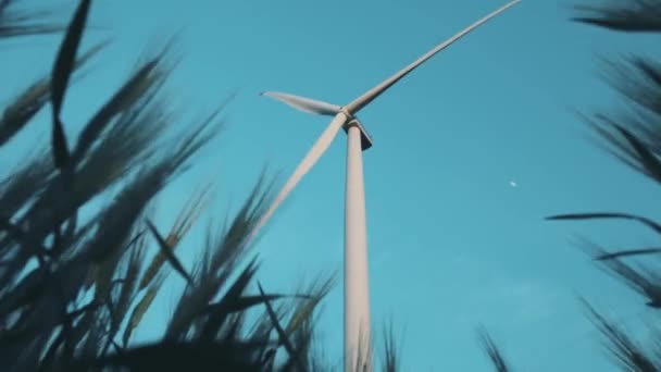 Windmill with propeller against blue sky view from wheat — Stockvideo