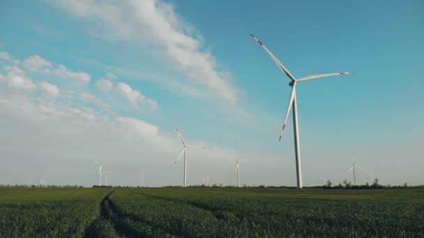 Rörelse längs fält med installerade vindkraftverk på sommaren — Stockvideo