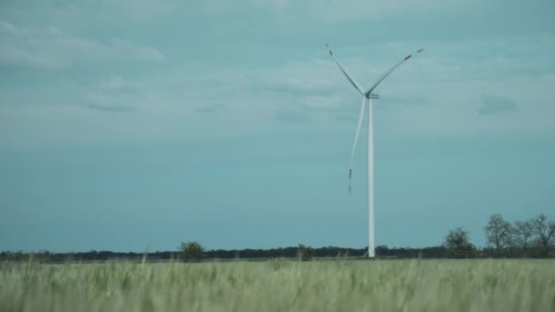 Turbina eólica solitaria en medio del campo — Vídeo de stock