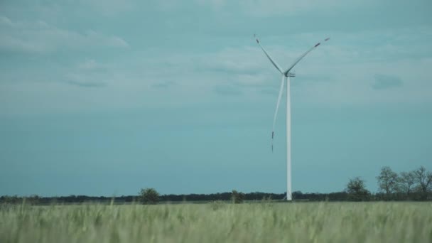 Magányos szélturbina a mező közepén — Stock videók