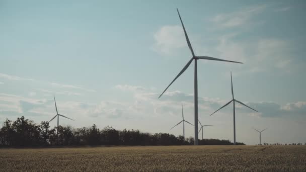 Větrná elektrárna vedle pšeničného pole na zamračeném pozadí oblohy. — Stock video