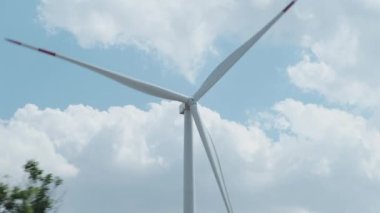 Rüzgâr türbininin pervaneleri gökyüzüne doğru dönüyor. Ağaç dalları hareket ettikçe titriyor..