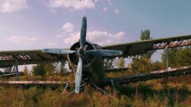 Terk edilmiş çim havaalanında kanatları kırık AN-2 uçağı