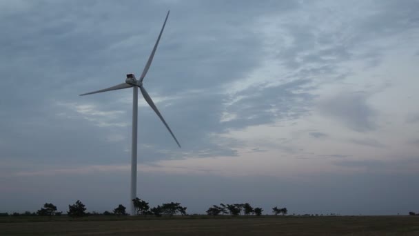 风力涡轮机在夕阳下的电源线 — 图库视频影像