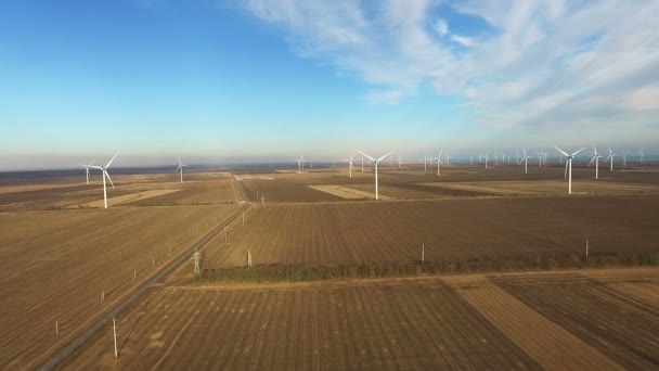 Wiele energii wiatrowej. Fotografia lotnicza. — Wideo stockowe