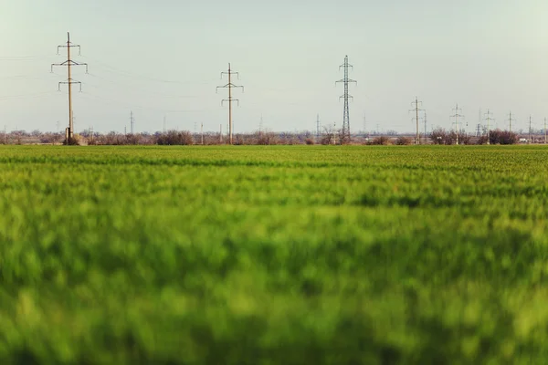 Alanları üzerinden geçen elektrik hatları