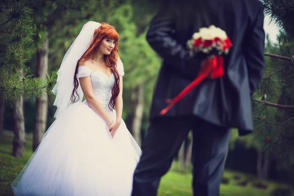 Gelin ve damat bir çam ormanı içinde