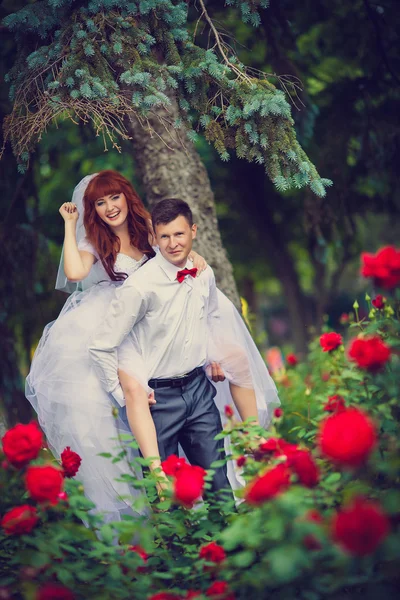 Portre yeni evliler çiçek açan güller arasında.