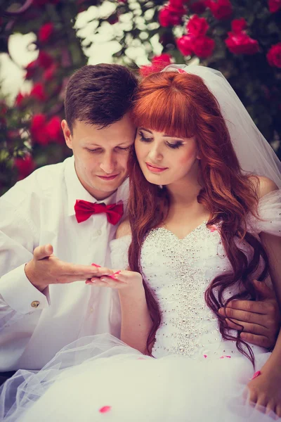 Portre yeni evliler çiçek açan güller arasında.