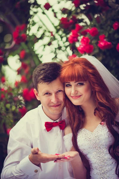 Portre yeni evliler çiçek açan güller arasında.