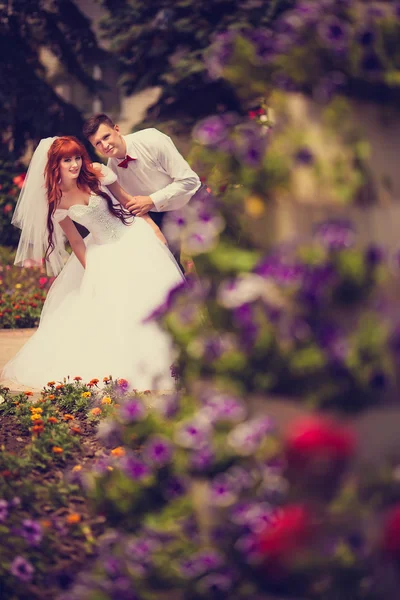 Portre yeni evliler çiçek açan güller arasında.