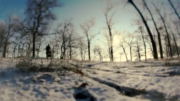 Sledging. Bir adam bir kadınla taşımak dışında karla kaplı tepeler. — Stok video