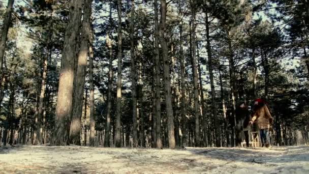 Os jovens estão na floresta de pinheiros de inverno . — Vídeo de Stock