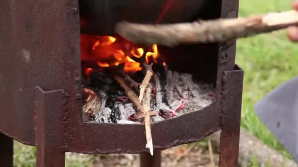 Fuego ardiendo en la chimenea — Vídeo de stock
