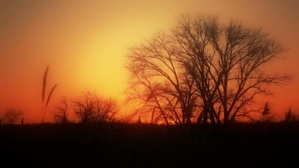 日落的河畔-风景系列 — 图库视频影像