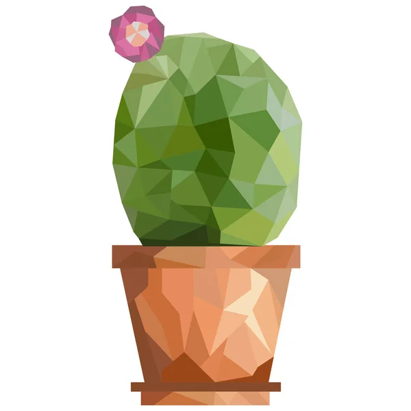 Niska Poli Ilustracja Drzewa Kaktusa Kwiatem Garnkiem Gradient Wielokątny — Wektor stockowy