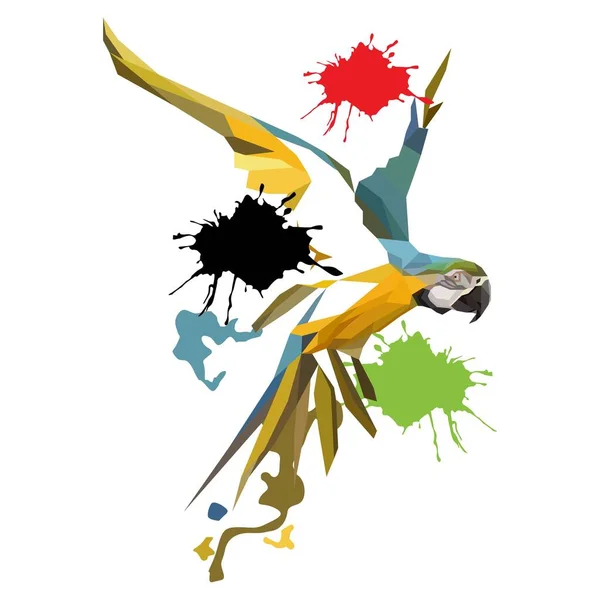 Ilustracja Ptaka Macaw Niskim Wielokątem Izolowane Tle Kolorów Splash Nowoczesny — Wektor stockowy
