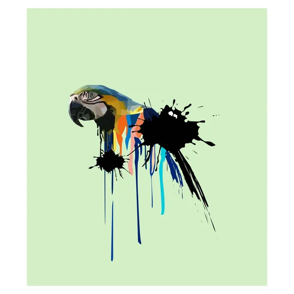 Macaw Απεικόνιση Πουλιών Χαμηλό Πολύγωνο Απομονώνονται Χρώματα Splash Φόντο Σύγχρονος — Διανυσματικό Αρχείο