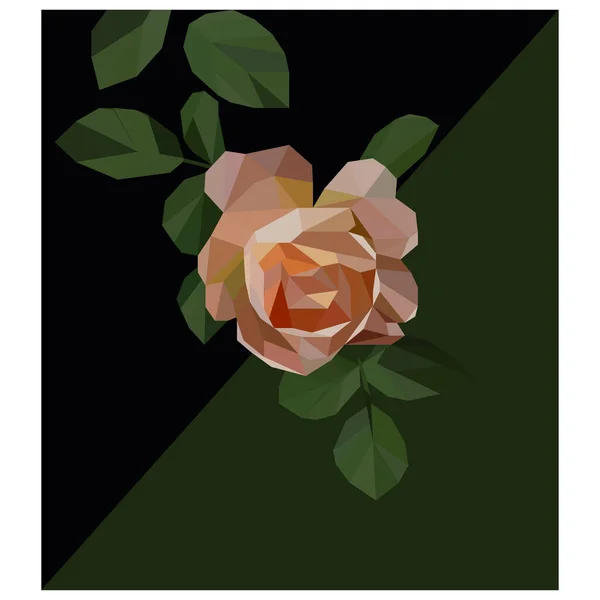 Vektor Rózsa Virág Illusztráció Sokszögletű Design Fokozat Háttér Stock Illusztrációk