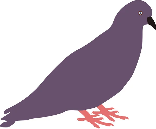 Διάνυσμα Επίπεδη Pigeon Σχεδίαση Εικονογράφηση — Διανυσματικό Αρχείο