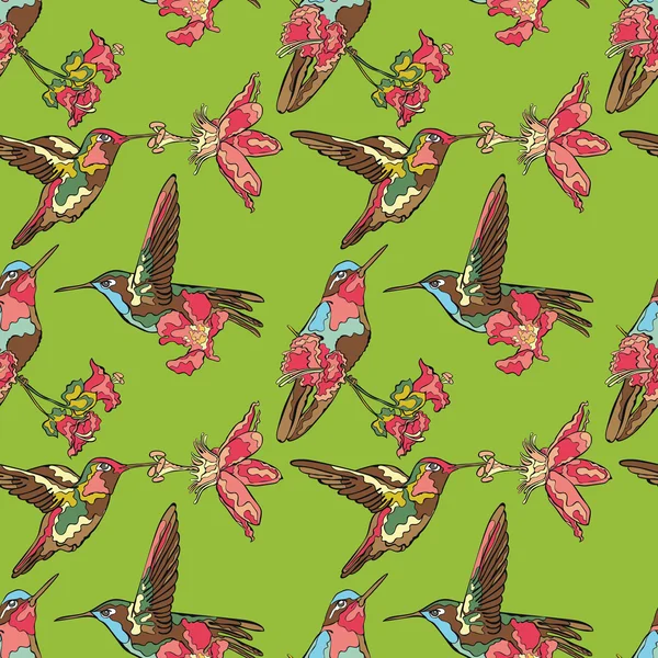 Small bird. Hummingbirds. Floral pattern. Vector seamless pattern (background). — Stock Vector