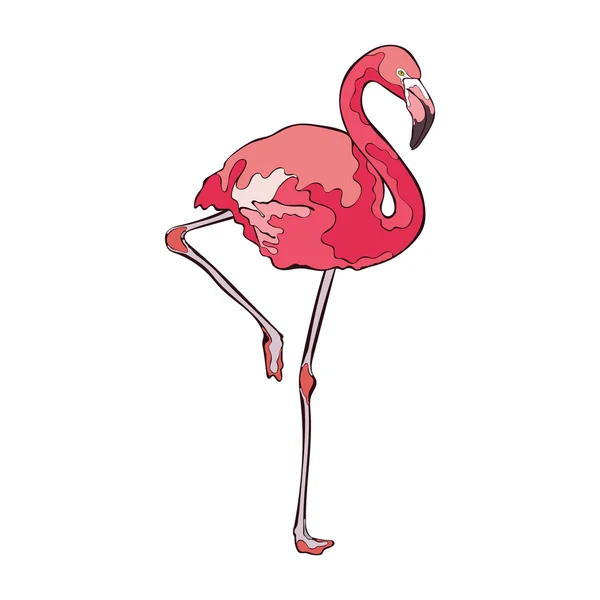 Красочный розовый фламинго. Изолированный векторный объект на белом фоне . — стоковый вектор