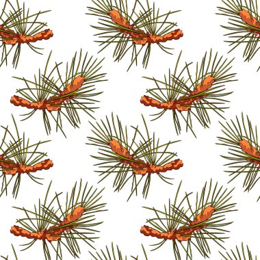 Ladin dal. Ladin iğne. Sorunsuz vektör desen (arka plan).