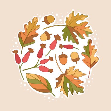 Sonbahar yaprakları, meşe palamutları, gül kalçaları. - Sanat. İzole vektör nesnesi. Noktalar. 