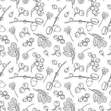 Acorns. Berries. Flowers. Leaves. Vector seamless illustration (background). Autumn pattern.