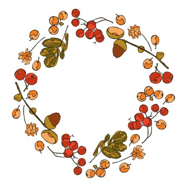 Acorns. Berries. Flowers. Leaves. Frame - wreath.  Autumn pattern.