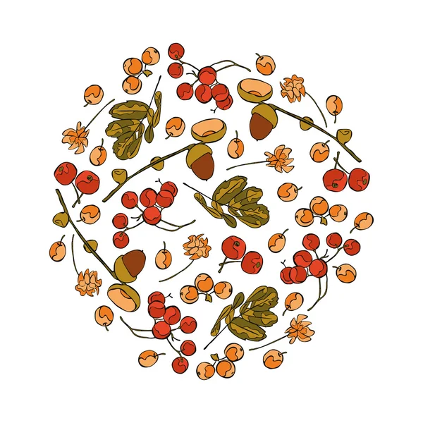 Acorns. Berries. Flowers. Leaves. Round pattern. Autumn pattern. — Stockvector