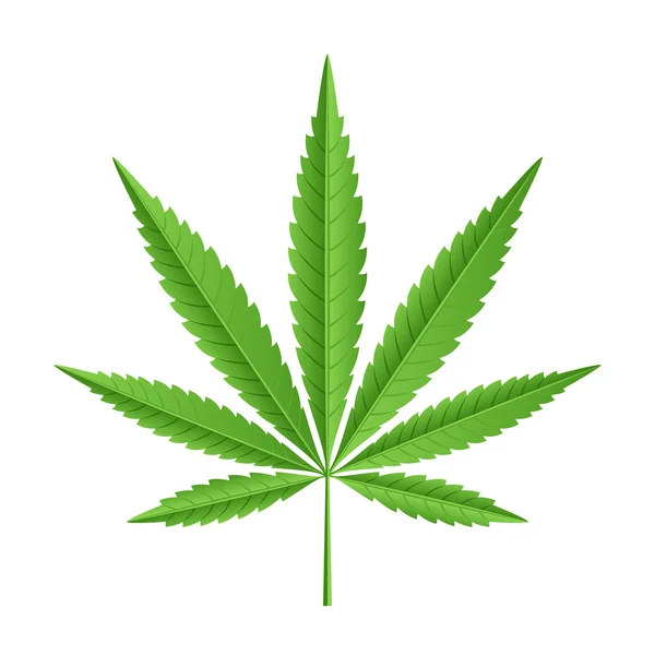 Hoja vectorial de marihuana — Vector de stock