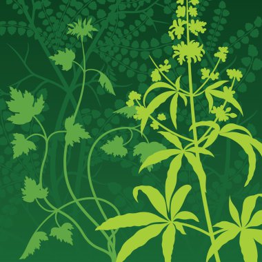 Vektör Herb arka plan
