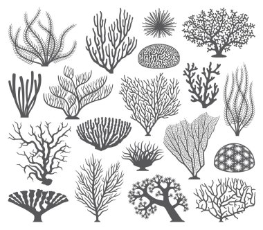 Coral formations Vector Silhouettes clipart