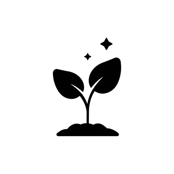 Planta Icono Vector Aislado Sobre Fondo Blanco Brote Signo Transparente — Vector de stock