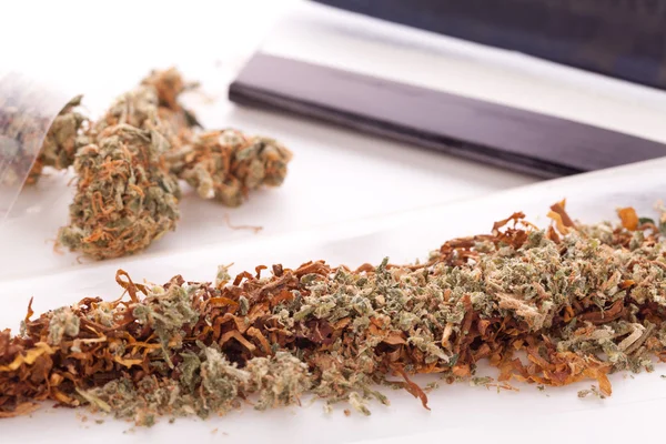 Getrocknetes Cannabis auf Papier mit Filter — Stockfoto