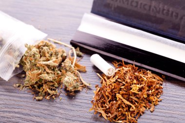 Filtre kağıdına yükseltmelerdeki kuru esrar