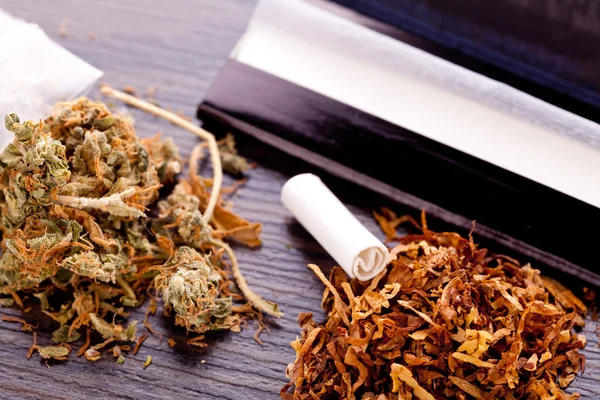 Getrocknetes Cannabis auf Papier mit Filter — Stockfoto